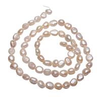 Potato Cultured Freshwater Pearl Beads, natural, white, 5-6mm,10*7cm Approx 0.8mm Approx 15 Inch 