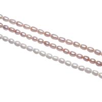 Rice Cultured Freshwater Pearl Beads, natural 4-5mm Approx 0.8mm Approx 15.5 Inch 