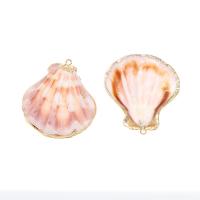 Natural Seashell Pendant, Shell, gold color plated, DIY, pink, 46*32*2-31*25*1mm 
