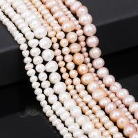 Potato Cultured Freshwater Pearl Beads, Round, polished, DIY 