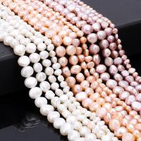 Potato Cultured Freshwater Pearl Beads, irregular, polished, DIY Approx 14.2 Inch 