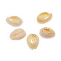Natural Seashell Pendant, Shell, DIY, beige, 21*19*7mm 