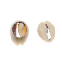 Natural Seashell Pendant, Shell, Conch, DIY, beige, 21*15*17mm 