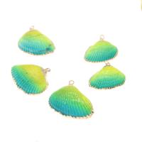 Natural Seashell Pendant, Shell, plated, DIY 31*22*9-28*18*8mm Approx 2mm 
