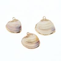 Natural Seashell Pendant, Shell, plated, DIY, beige, 36*26*7-18*18*4mm Approx 2mm 