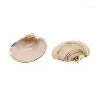 Natural Seashell Pendant, Shell, plated, DIY, beige, 50*39*7-33*26*10mm Approx 2mm 