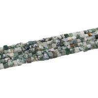 Natürlichen Baum-Achat-Perlen, Baumachat, Quadrat, poliert, DIY, 4x4mm, 86PCs/Strang, verkauft von Strang