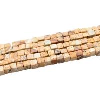 Picture Jasper Beads,  Square, polished, DIY 