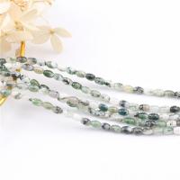 Natural Tree Agate Beads, Drum, polished, DIY 