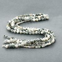 Natural Tree Agate Beads, Round, polished, DIY 