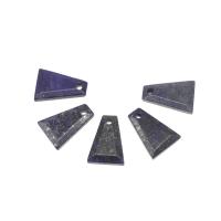 Colgantes de Lapislázuli, Trapecio, Bricolaje, azul oscuro, 24*15*3mm, agujero:aproximado 2mm, 5PCs/Bolsa, Vendido por Bolsa