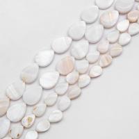 Natural White Shell Beads, Teardrop, polished, DIY & frosted Approx 15 Inch 