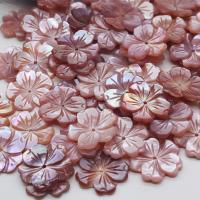 Natural Freshwater Shell Beads, Pink Shell, Carved, DIY 