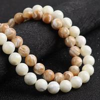 Natural Yellow Shell Beads, Round, polished & DIY 