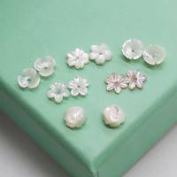 Natural White Shell Beads, Carved, DIY 6mm 