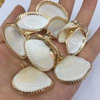 Brass Shell Pendants, with Brass, gold color plated, DIY, white, 25x35- 
