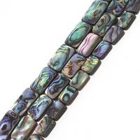 Abalone Shell Beads, Rectangle, DIY mixed colors 