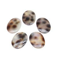 Shell Jewelry Cabochon, Ellipse, DIY, mixed colors, 13*18mm Approx 1mm 