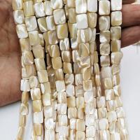 Natural Yellow Shell Beads, Rectangle, polished, DIY 