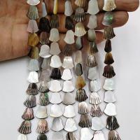 Black Shell Beads, Black Lip Shell, polished, DIY 