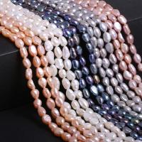 Potato Cultured Freshwater Pearl Beads, Ellipse, polished, DIY 