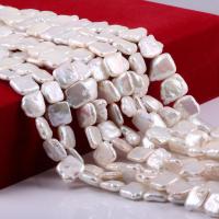 Keshi Cultured Freshwater Pearl Beads, Square, polished, DIY, white 