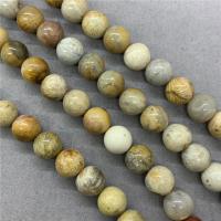 Chrysantheme Stein Perle, Chrysanthemen Stein, rund, poliert, verschiedene Größen vorhanden, Länge:ca. 15 ZollInch, verkauft von Strang