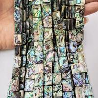 Abalone Shell Beads, Rectangle, DIY 