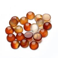 Gemstone Cabochons, Red Agate, Flat Round, DIY reddish orange 