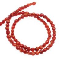 Perles en corail naturel, pepite, poli, DIY, orange rougeâtre, 5mm, Vendu par brin