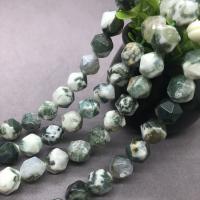 Natural Tree Agate Beads, polished & faceted Approx 15 Inch 