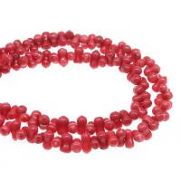 Natural Coral Beads, polished, DIY 5*4mm 