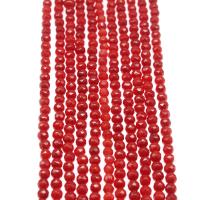 Perles en corail naturel, Rond, poli, DIY, rouge, 6mm, Vendu par brin