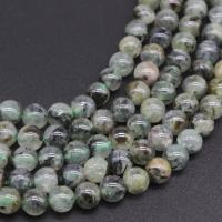 Prehnite Beads, Natural Prehnite, Round, polished, DIY multi-colored 