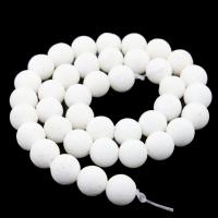 Natural Coral Beads, White Coral, Round, polished, DIY white 