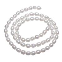 Potato Cultured Freshwater Pearl Beads, Rice, white, 3-4mm 