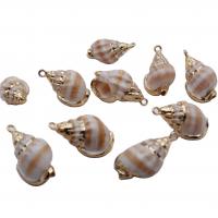 Trumpet Shell Pendant, with Zinc Alloy, Conch, gold color plated, DIY 
