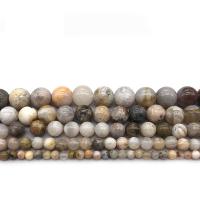 Natural Bamboo Agate Beads, Round, polished, DIY 