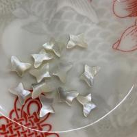 Natural White Shell Beads, polished, DIY 