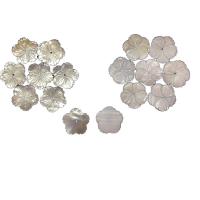 Natural White Shell Beads, White Lip Shell, Flower, fashion jewelry & DIY 25mm 