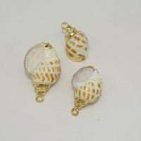 Trumpet Shell Pendant, with Zinc Alloy, gold color plated, DIY, 15-35mm 