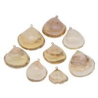 Brass Shell Pendants, with Brass, irregular, gold color plated Approx 