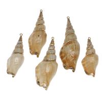 Brass Shell Pendants, with Brass, Conch, gold color plated, 43*45*5mm/40*36*7mm, Approx 