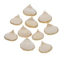 Brass Shell Pendants, with Brass, gold color plated, 77*28*18mm/52*21*15mm, Approx 
