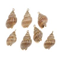 Trumpet Shell Pendant, with Brass, Conch, gold color plated, 31*14*12mm/22*10*9mm, Approx 
