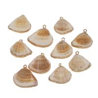 Brass Shell Pendants, with Brass, gold color plated, 44*10*9mm/32*9*9mm, Approx 