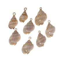 Brass Shell Pendants, with Brass, Conch, gold color plated, 46*26*21mm/24*14*11mm, Approx 
