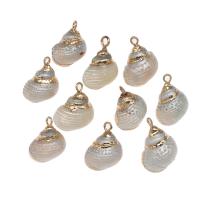 Trumpet Shell Pendant, with Brass, Conch, gold color plated, 51*20*16mm/31*10*9mm, Approx 