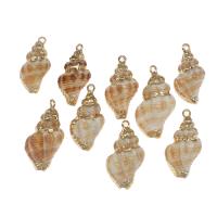 Trumpet Shell Pendant, with Brass, Conch, gold color plated, 40*25*16mm/27*15*11mm, Approx 