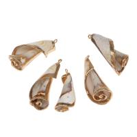 Brass Shell Pendants, with Brass, Conch, gold color plated, 42*22*20mm/28*15*11mm, Approx 